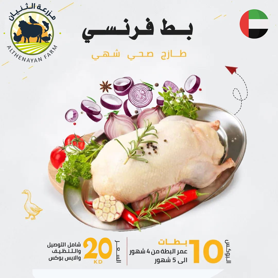 بوكس 10 بطات فرنسي عمر 4 - 5 شهور