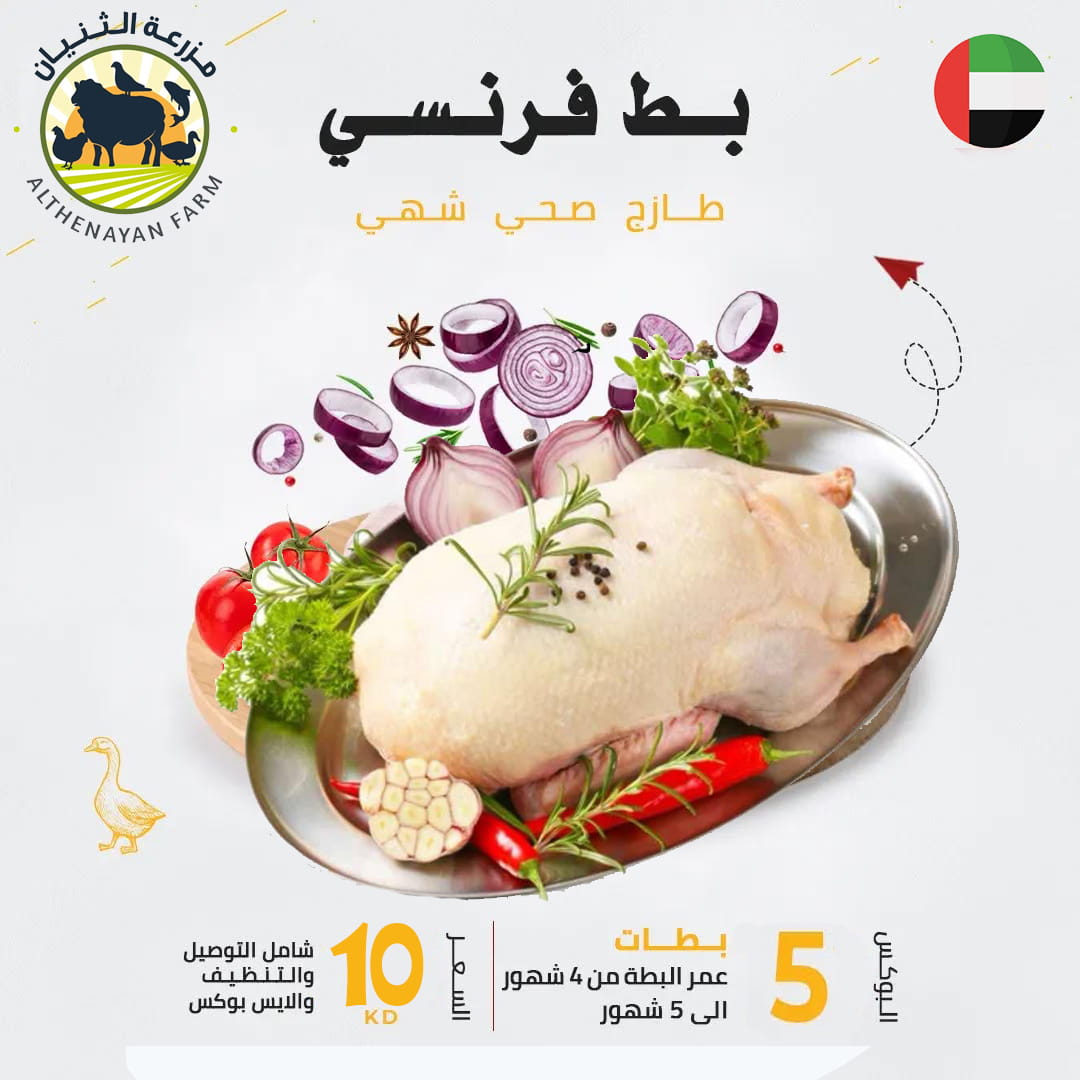 بوكس 5 بطات فرنسي عمر 4 - 5 شهور