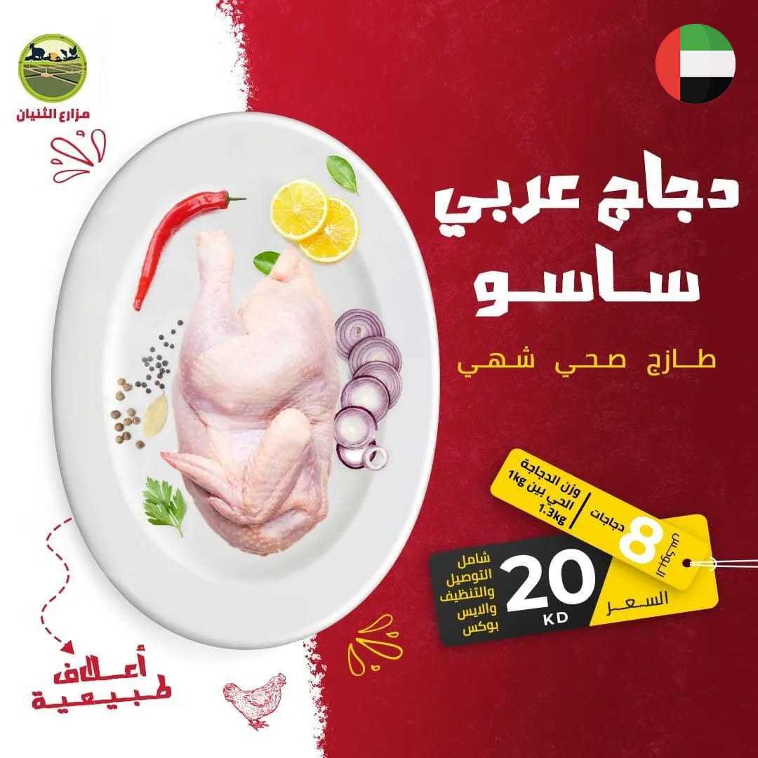 بوكس 10 دجاج عربي ساسو